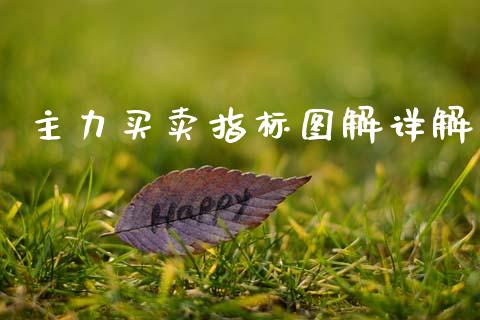 主力买卖指标图解详解_https://www.fsyjjx.cn_期货资讯_第1张