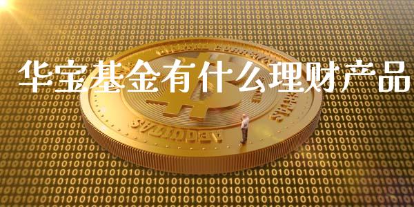 华宝基金有什么理财产品_https://www.fsyjjx.cn_问财精选_第1张