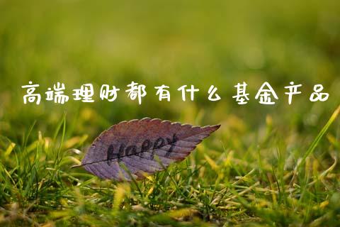 高端理财都有什么基金产品_https://www.fsyjjx.cn_问财精选_第1张