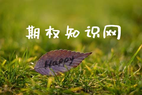 期权知识网_https://www.fsyjjx.cn_期货在线_第1张