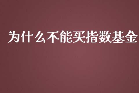 为什么不能买指数基金_https://www.fsyjjx.cn_期货研报_第1张