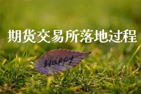 期货交易所落地过程_https://www.fsyjjx.cn_期货资讯_第1张