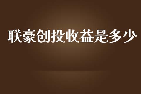 联豪创投收益是多少_https://www.fsyjjx.cn_期货资讯_第1张