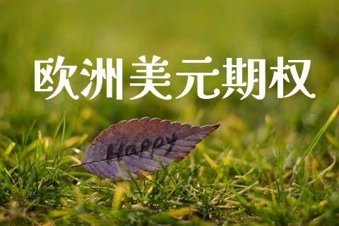欧洲美元期权_https://www.fsyjjx.cn_股市分析_第1张