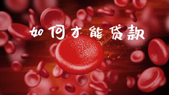 如何才能贷款_https://www.fsyjjx.cn_股市分析_第1张
