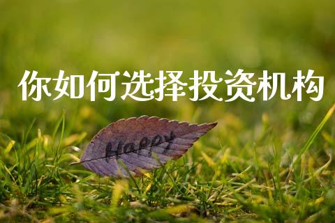 你如何选择投资机构_https://www.fsyjjx.cn_理财资讯_第1张