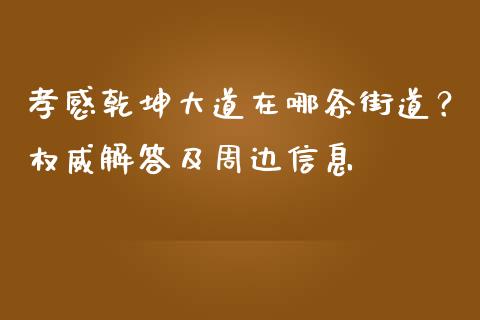 孝感乾坤大道在哪条街道？权威解答及周边信息_https://www.fsyjjx.cn_股指期货_第1张
