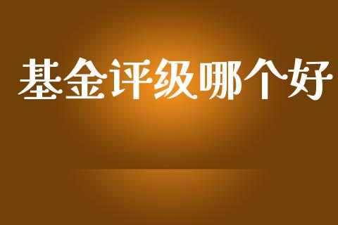 基金评级哪个好_https://www.fsyjjx.cn_股指期货_第1张