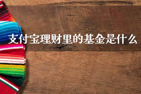 支付宝理财里的基金是什么_https://www.fsyjjx.cn_问财精选_第1张