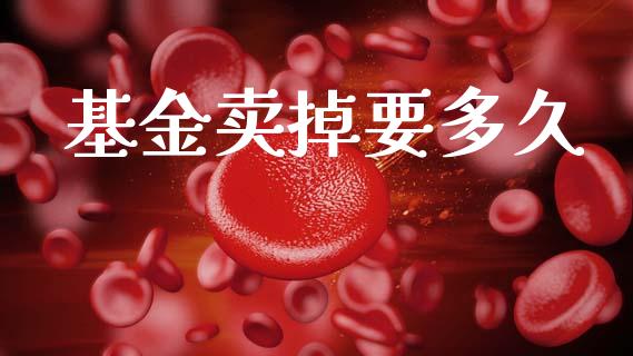 基金卖掉要多久_https://www.fsyjjx.cn_股指期货_第1张