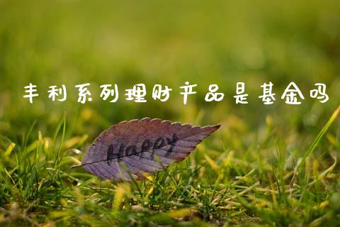 丰利系列理财产品是基金吗_https://www.fsyjjx.cn_问财精选_第1张