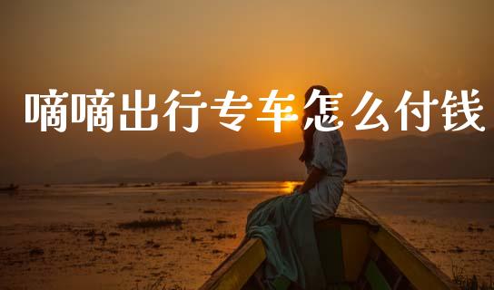 嘀嘀出行专车怎么付钱_https://www.fsyjjx.cn_股指期货_第1张