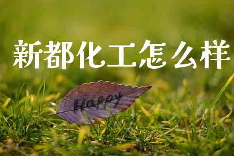 新都化工怎么样_https://www.fsyjjx.cn_期货在线_第1张
