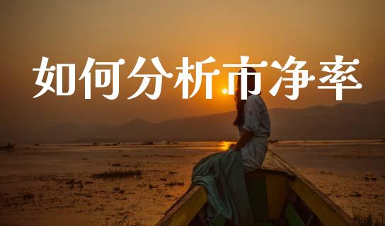 如何分析市净率_https://www.fsyjjx.cn_问财精选_第1张