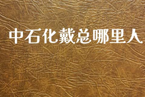 中石化戴总哪里人_https://www.fsyjjx.cn_问财精选_第1张
