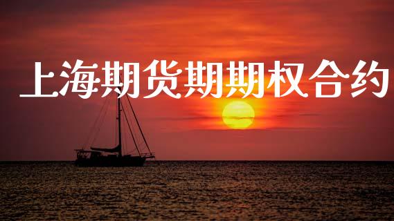 上海期货期期权合约_https://www.fsyjjx.cn_股票指导_第1张