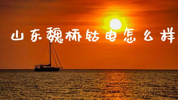 山东魏桥钴电怎么样_https://www.fsyjjx.cn_期货资讯_第1张