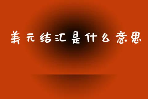 美元结汇是什么意思_https://www.fsyjjx.cn_股票指导_第1张