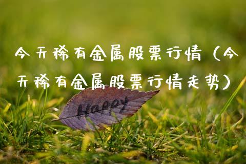 今天稀有金属股票行情（今天稀有金属股票行情走势）_https://www.fsyjjx.cn_股市分析_第1张