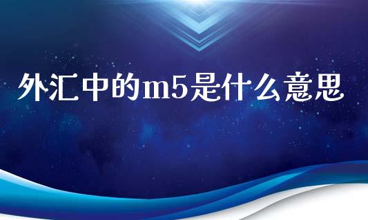外汇中的m5是什么意思_https://www.fsyjjx.cn_期货在线_第1张