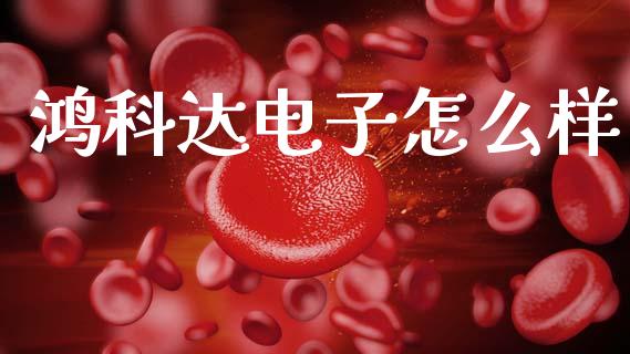 鸿科达电子怎么样_https://www.fsyjjx.cn_股票指导_第1张