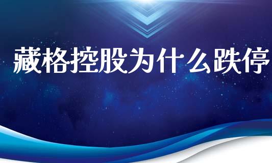藏格控股为什么跌停_https://www.fsyjjx.cn_期货资讯_第1张
