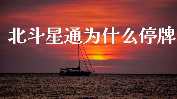 北斗星通为什么停牌_https://www.fsyjjx.cn_股指期货_第1张