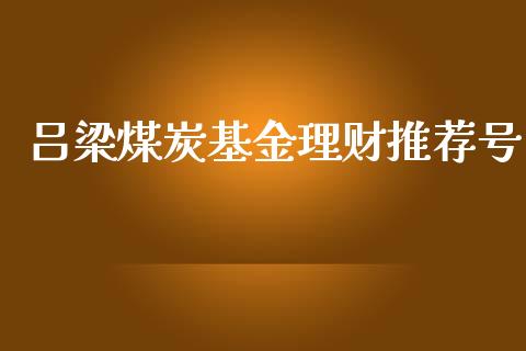 吕梁煤炭基金理财推荐号_https://www.fsyjjx.cn_问财精选_第1张