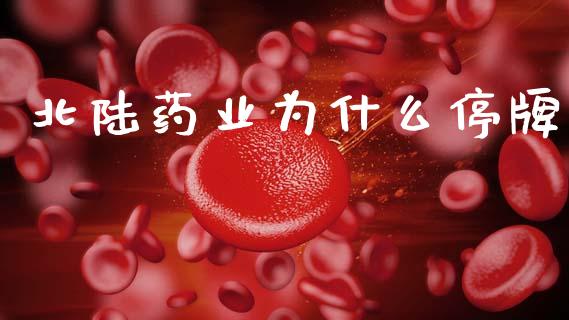 北陆药业为什么停牌_https://www.fsyjjx.cn_期货在线_第1张
