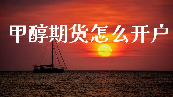 甲醇期货怎么开户_https://www.fsyjjx.cn_股票指导_第1张