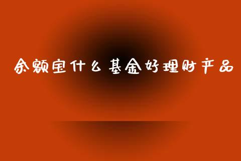 余额宝什么基金好理财产品_https://www.fsyjjx.cn_问财精选_第1张
