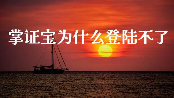 掌证宝为什么登陆不了_https://www.fsyjjx.cn_股指期货_第1张