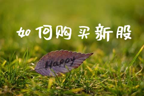 如何购买新股_https://www.fsyjjx.cn_问财精选_第1张