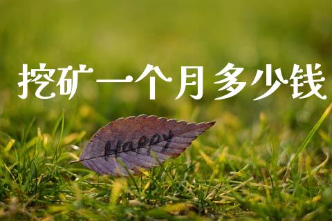 挖矿一个月多少钱_https://www.fsyjjx.cn_期货在线_第1张