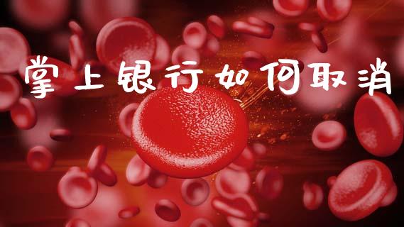 掌上银行如何取消_https://www.fsyjjx.cn_股指期货_第1张
