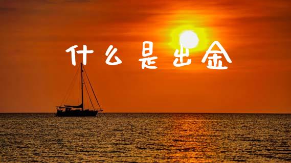 什么是出金_https://www.fsyjjx.cn_理财资讯_第1张