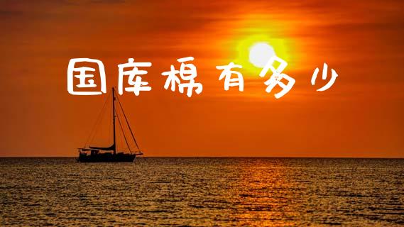 国库棉有多少_https://www.fsyjjx.cn_股票指导_第1张