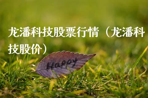 龙潘科技股票行情（龙潘科技股价）_https://www.fsyjjx.cn_股指期货_第1张