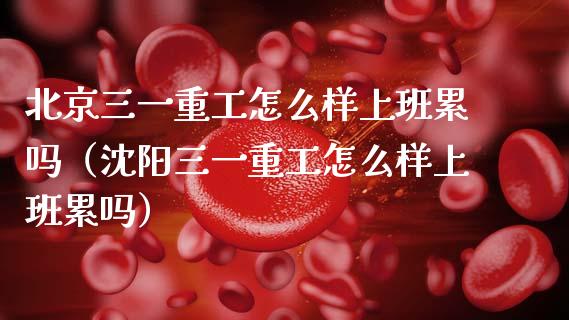 北京三一重工怎么样上班累吗（沈阳三一重工怎么样上班累吗）_https://www.fsyjjx.cn_股票指导_第1张
