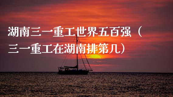 湖南三一重工世界五百强（三一重工在湖南排第几）_https://www.fsyjjx.cn_股指期货_第1张