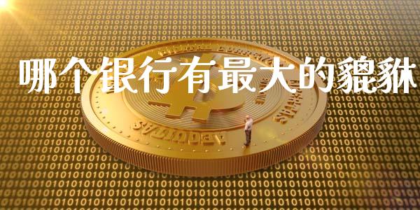 哪个银行有最大的貔貅_https://www.fsyjjx.cn_股指期货_第1张
