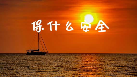 保什么安全_https://www.fsyjjx.cn_理财资讯_第1张