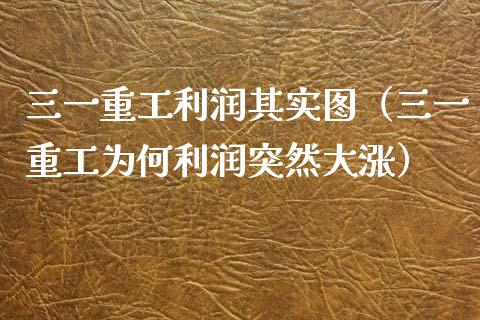 三一重工利润其实图（三一重工为何利润突然大涨）_https://www.fsyjjx.cn_股票指导_第1张
