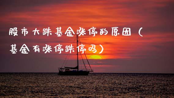 股市大跌基金涨停的原因（基金有涨停跌停吗）_https://www.fsyjjx.cn_理财资讯_第1张