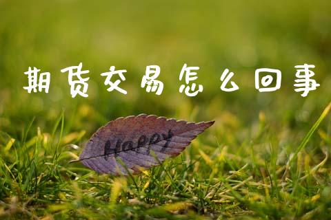 期货交易怎么回事_https://www.fsyjjx.cn_股指期货_第1张