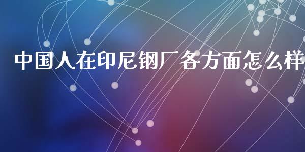 中国人在印尼钢厂各方面怎么样_https://www.fsyjjx.cn_期货在线_第1张