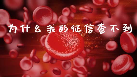 为什么我的征信查不到_https://www.fsyjjx.cn_期货研报_第1张