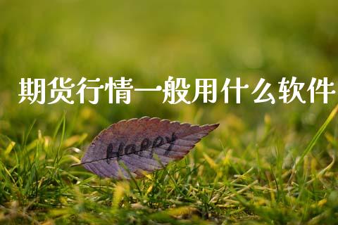 期货行情一般用什么软件_https://www.fsyjjx.cn_期货研报_第1张