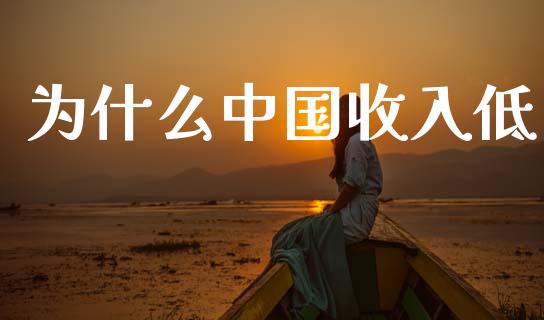 为什么中国收入低_https://www.fsyjjx.cn_问财精选_第1张