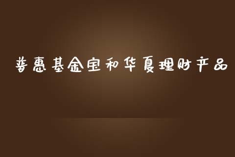 普惠基金宝和华夏理财产品_https://www.fsyjjx.cn_问财精选_第1张